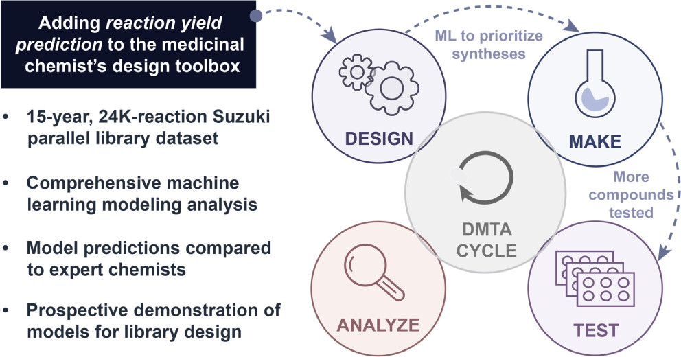 Slide 3: Suzuki